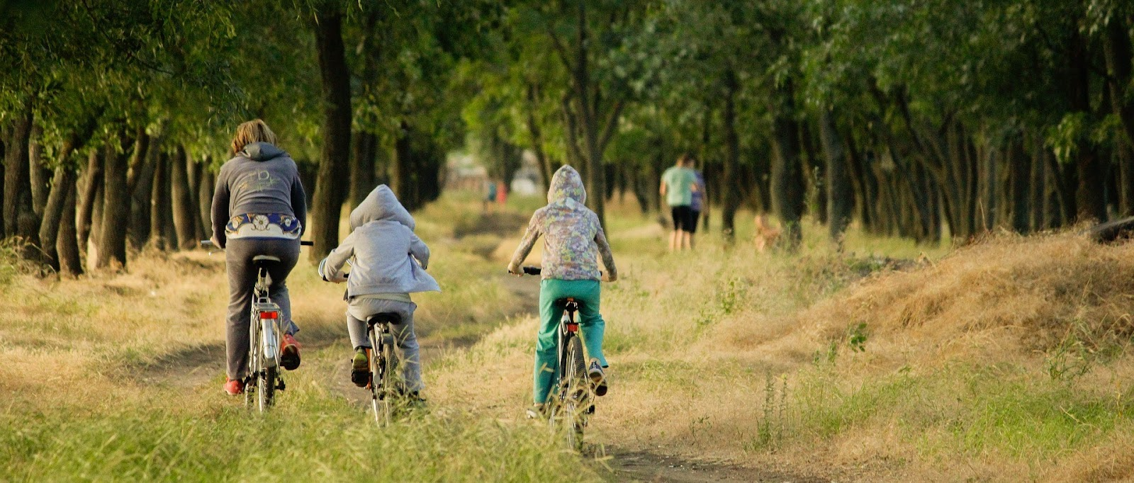 Parenting Tips to Create Family Harmony